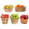 5-in-1 Apple Tree -Garden-Plants 5 in 1 Apple 600x600 7aa95aa9 ebc1 4f49 a1e8 94e9b1d7155c