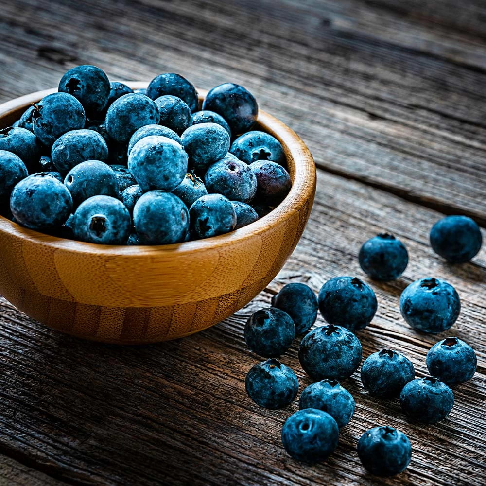 Aurora Blueberry Bush - USDA Organic 7 Aurora Blueberry Bush - USDA Organic - Image 5