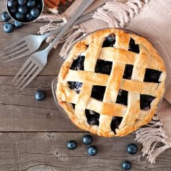 Aurora Blueberry Bush -Garden-Plants Aurora Blueberry 5