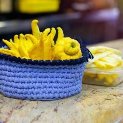 Buddha's Hand Citron Tree -Garden-Plants BUddhas Hand Citrus 6 FGT 8e440ac0 ef1a 452e 8576 5c1e7bf4eb5a