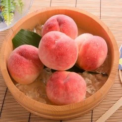 Babcock Peach Tree -Garden-Plants Babcock Peach 1