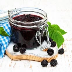 Big Daddy Blackberry Bush 9 Big Daddy Blackberry Bush -Garden-Plants Big Daddy Blackberry 3