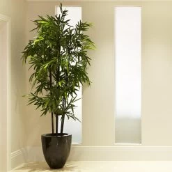 Black Bamboo
