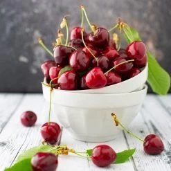 Brooks Cherry Tree 9 Brooks Cherry Tree -Garden-Plants Brooks Cherry Tree 5 FGT