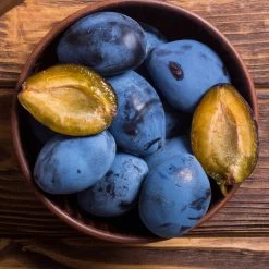 Brooks Plum Tree 11 Brooks Plum Tree -Garden-Plants Brooks Plum 2