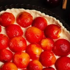 Bubblegum 'Toka' Plum Tree 11 Bubblegum 'Toka' Plum Tree -Garden-Plants Bubblegum Toka Plum 3