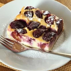 Burgundy Plum Tree 11 Burgundy Plum Tree -Garden-Plants Burgundy Plum 3