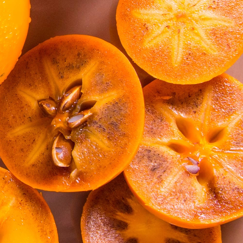 Chocolate Persimmon Tree 5 Chocolate Persimmon Tree - Image 3