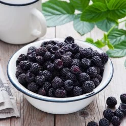 Cumberland Black Raspberry - USDA Organic -Garden-Plants CUmberland Black RAspberry 4 FGT 106ac158 fa5e 47e5 88d1 c678909f6c53