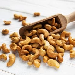 Cashew Tree -Garden-Plants Cashew Nut Tree 5