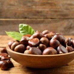 Chinese Chestnut Tree -Garden-Plants Chinese Chestnut 3 FGT