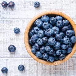 Climax Blueberry - USDA Organic -Garden-Plants Climax Blueberry 4 6dff9fe5 d11c 4867 ac6f bf49cd37acb5