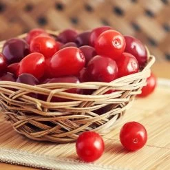 Cornelian Cherry Dogwood Tree -Garden-Plants Cornelian Cherry Dogwood 1 FGT