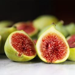 Desert King Fig Tree 9 Desert King Fig Tree -Garden-Plants DEsert King FIg 3