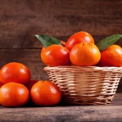 Dancy Tangerine Tree -Garden-Plants Dancy Tangerine 1 FGT