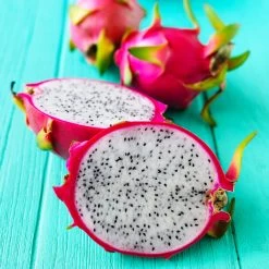 Dragon Fruit Cactus -Garden-Plants Dragon Fruit Cactus 7 FGT