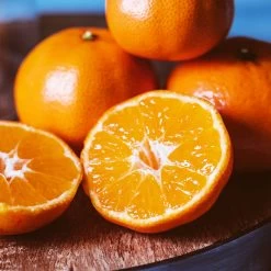 EasyPeel Clementine Tree 8 EasyPeel Clementine Tree -Garden-Plants Easy Peel Clementine 4 FGT