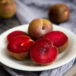 Elephant Heart Plum Tree -Garden-Plants Elephant Heart Plum 1