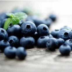 Elliot Blueberry Bush -Garden-Plants Elliot Blueberry 450 D2