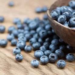 Emerald Blueberry Bush -Garden-Plants Emerald Blueberries 1