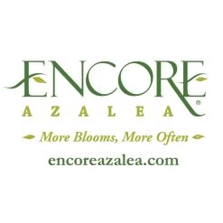 Autumn Fire® Encore® Azalea Shrub -Garden-Plants Encore Logo 1000x1000 919283c2 7804 49e2 956d 5cb853704c7c