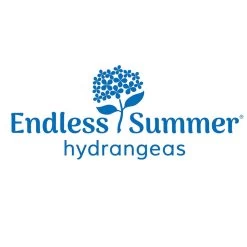 Endless Summer® BloomStruck® Hydrangea Shrub -Garden-Plants Endless Summer Hydrangeas 1000x1000 a41a2edd 37e9 417f a232 324a434bc39f