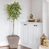 Variegated Ficus Triangularis Tree -Garden-Plants Ficus Triangularis Tree FGT 600x600 d26d7efb 4966 4b2d 924f f0afd1d632b9