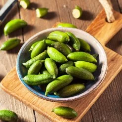 Australian Finger Lime Tree -Garden-Plants Finger Lime Tree 4