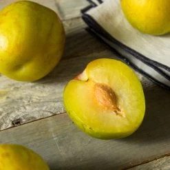 Flavor Queen Pluot® -Garden-Plants Flavor Queen Pluot 2