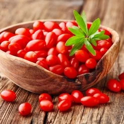 Goji Berry 10 Goji Berry -Garden-Plants Goji Berry 4
