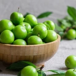 Green Gage Plum -Garden-Plants Green Gage Plum 2