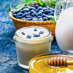 Indigo Gem Haskap (Honeyberry) 9 Indigo Gem Haskap (Honeyberry) -Garden-Plants Indigo GEm Haskap 1