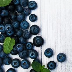 Jewel Blueberry Bush -Garden-Plants Jewel Blueberry 2