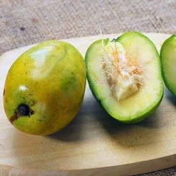 June Plum Tree 8 June Plum Tree -Garden-Plants June Plum 5