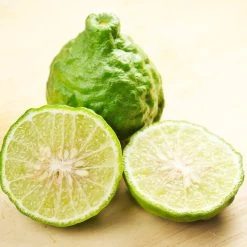 Kaffer 'Kieffer' Lime Tree 10 Kaffer 'Kieffer' Lime Tree -Garden-Plants Kaffir Lime 7 FGT