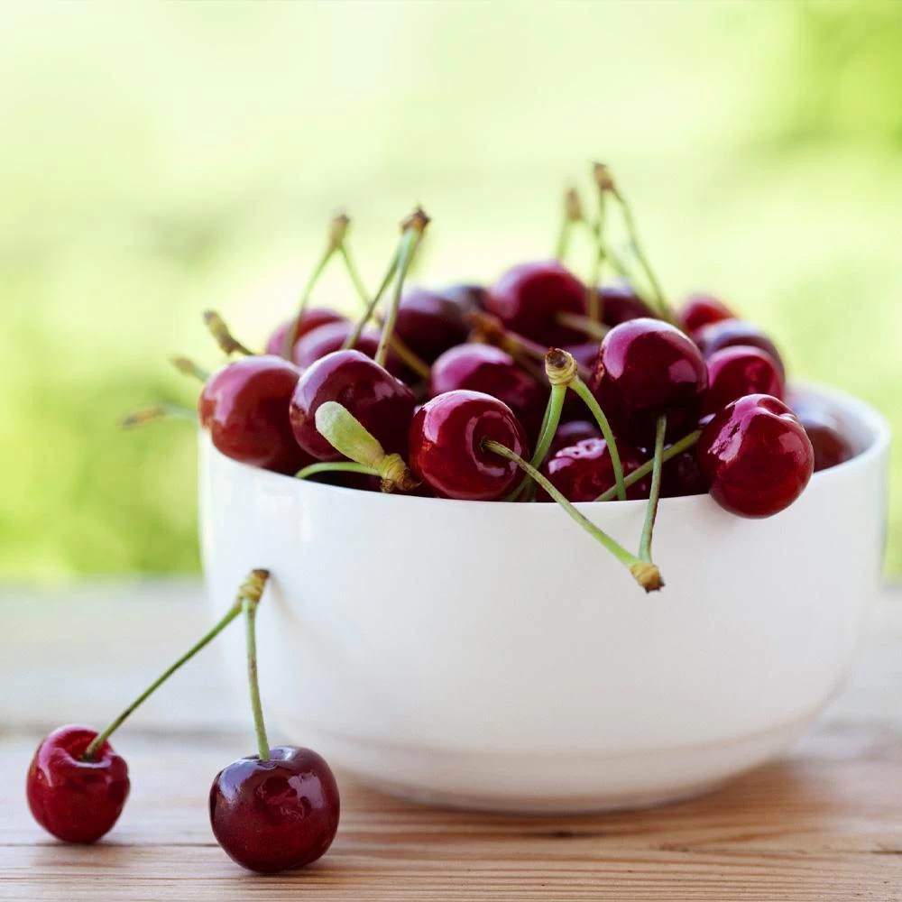 Lapins Cherry Tree 5 Lapins Cherry Tree - Image 3