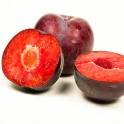 Methley Plum Tree -Garden-Plants Methley Plum 3 6230ed7a 5c4e 4b03 88d0 ad8f75f62363