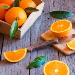 Midknight Valencia Orange -Garden-Plants MidKnight Orange 3 FGT