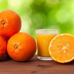 Midknight Valencia Orange -Garden-Plants MidKnight Valencia Orange 3