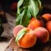 Multi-Peach Tree -Garden-Plants Multi fruit peach 600x600 1bde10f6 0ebc 442c a3d4 35c7cd83288d