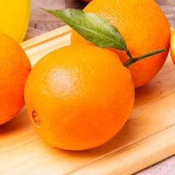 Navel Orange Tree - USDA Organic -Garden-Plants Navel Orange 2 FGT 14629529 59ec 469f 9eb9 2f95d6d1513b