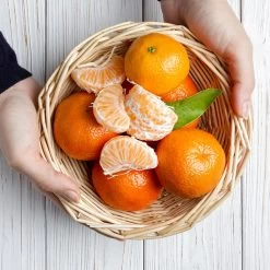 Page Mandarin Tree -Garden-Plants Page Mandarin Tree 2 FGT