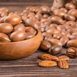 Pawnee Pecan Tree -Garden-Plants Pawnee Pecan 4 FGT