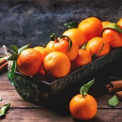 Pixie Mandarin Tree -Garden-Plants Pixie Mandarin Tree 3