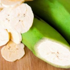 Puerto Rican Plantain Banana Tree -Garden-Plants Puerto Rican Plantain Banana Tree 3