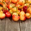 Rainier Cherry Tree -Garden-Plants Rainier Cherry Tree FGT 600x600 1094475e 5dab 4191 8167 5c5a6519bb91