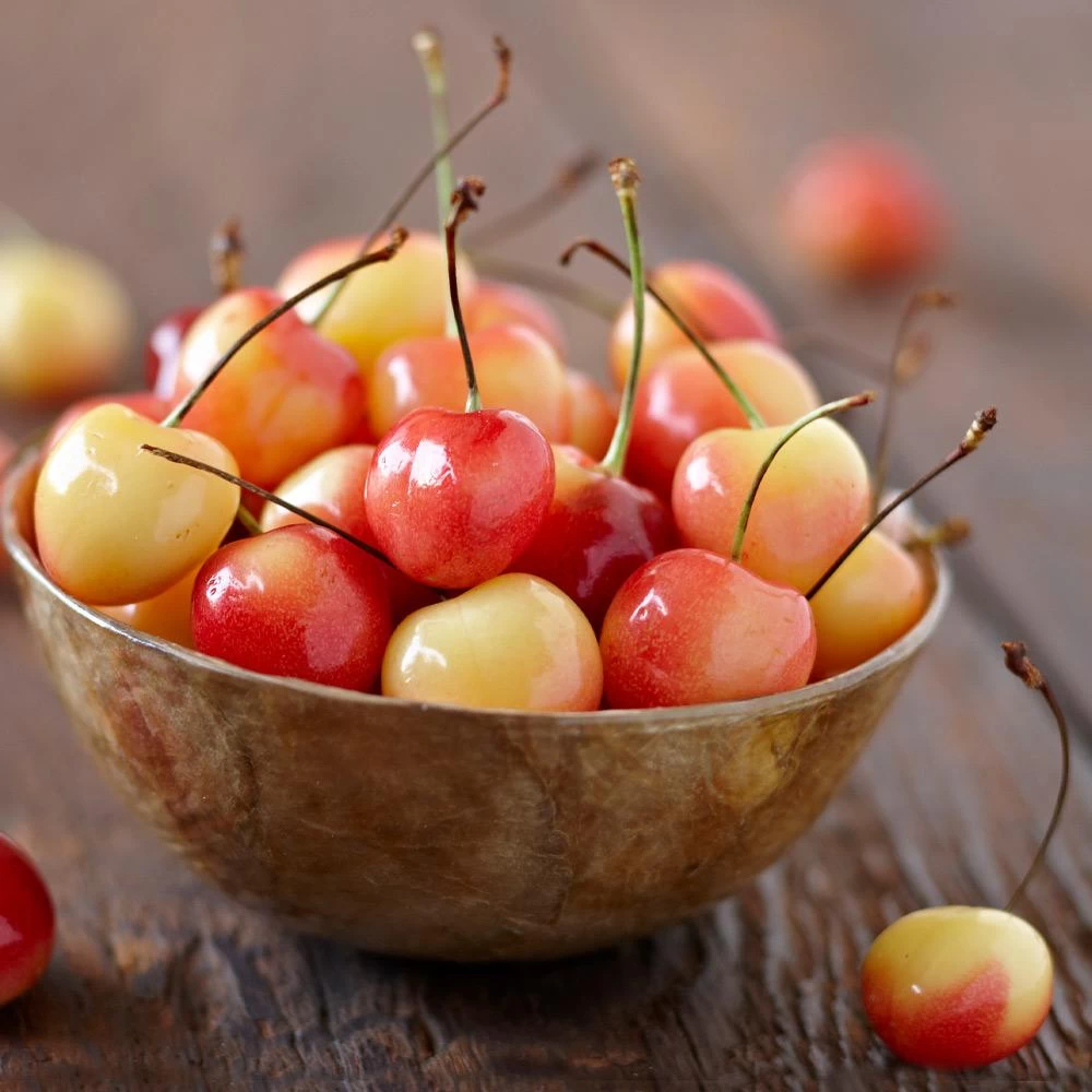 Royal Ann Cherry Tree 5 Royal Ann Cherry Tree - Image 3