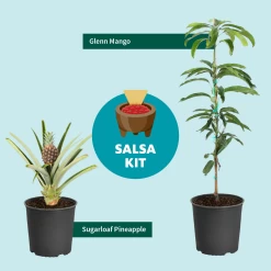 Salsa Kit -Garden-Plants SalsaKitGraphic