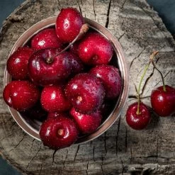 Santina™ Cherry Tree -Garden-Plants Santina Cherry 1