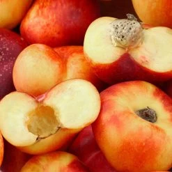 Saturn Peach Tree -Garden-Plants Saturn Peach Tree 1